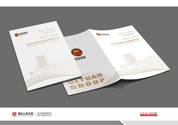 常德市德源供應(yīng)鏈服務(wù)有限公司宣傳畫冊設(shè)計